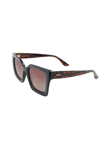 Kodak Sonnenbrille in Brown