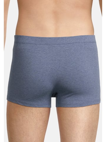 Seidensticker Retro Short / Pant Pur in Mehrfarbig