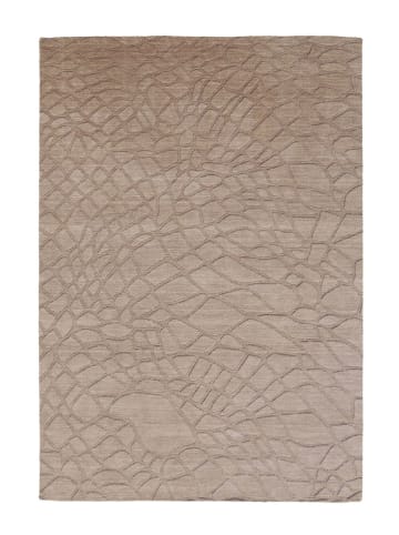 Kurzflor Teppich Gina 710 in Braun
