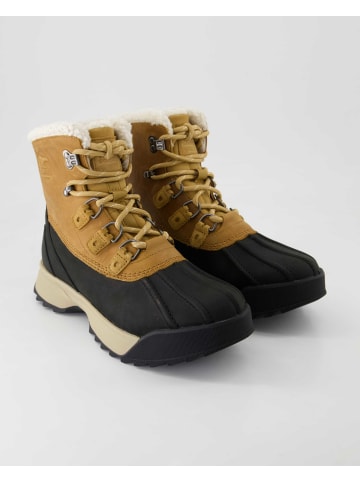 Sorel Stiefeletten in Schwarz