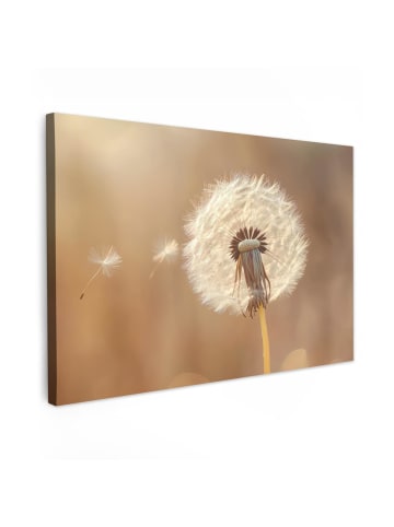 MuchoWow Leinwand bilder Nahaufnahme Flaum