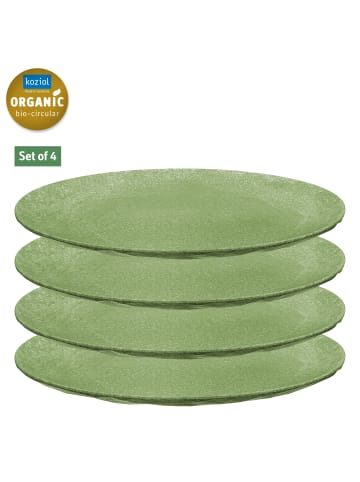 koziol CLUB PLATE 260mm - Flacher Teller 260mm in nature leaf green