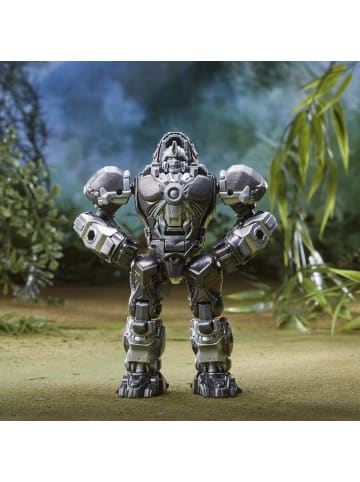 Hasbro Transformers Aufstieg der Bestien Beast Alliance Weaponizers 2er-Pack 6+ 12,5 cm