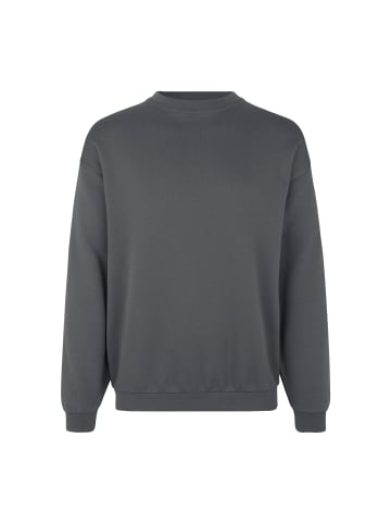 PRO Wear by ID Sweatshirt klassisch in Silver grey