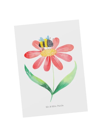 Mr. & Mrs. Panda Grußkarte Hummel Blume ohne Spruch in Weiß