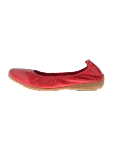 Josef Seibel Ballerina  in Rot