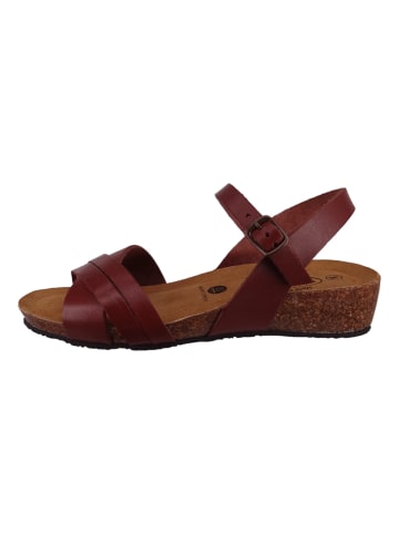 Plakton Sandalen braun