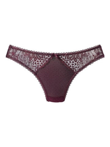 Vivance String in dark violet