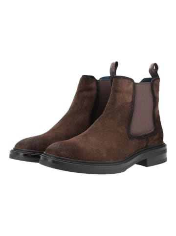 Steve Madden Stiefelette HATTON in Dunkelbraun