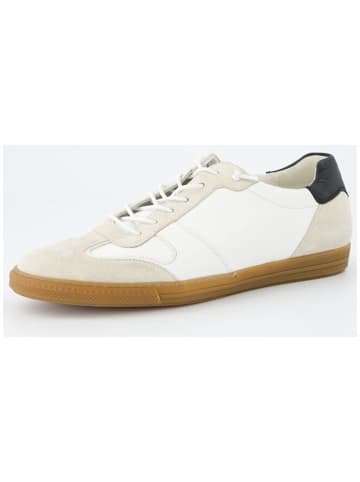 Paul Green Lowtop-Sneaker in Creme
