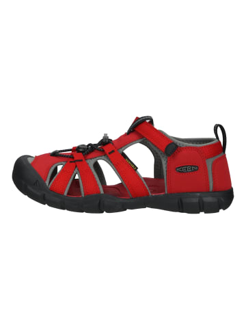 Keen Wanderschuhe in Rot/Schwarz