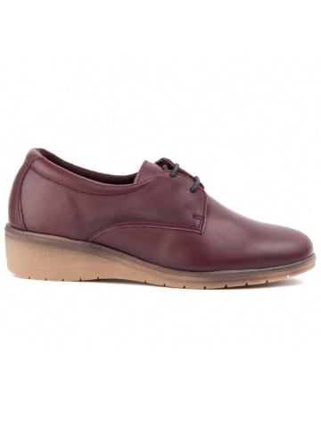 Purapiel Schnürschuhe Keilabsatz Anilav in Bordeaux