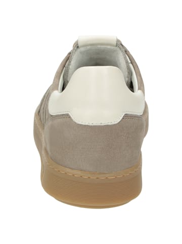 Sioux Sneaker Tedroso-711 in hellbraun