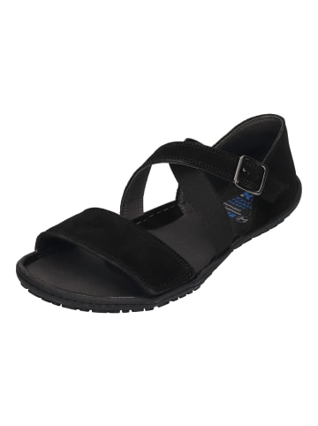 KOEL Sandalen ISA SUEDE in schwarz