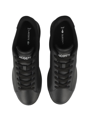 Lacoste Sneaker low Carnaby Set 225 4 in schwarz