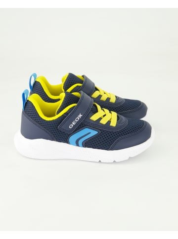 Geox Klettschuhe in Blau