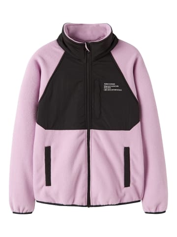 name it Jacke in Phalaenopsis1
