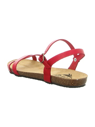 Plakton Sandalen in Rot