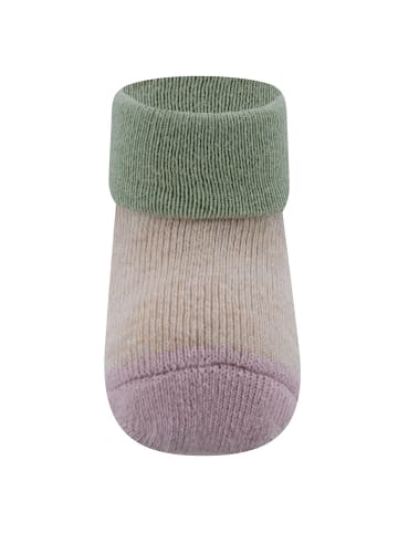 ewers 3er-Set Newborn Socken 3er Pack Koala in rosenrauch-salbei-beige mel.