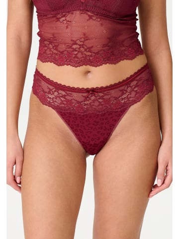LINGADORE DAILY String Ruby wine jacquard