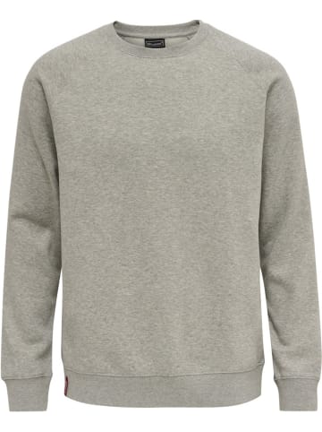 Hummel Pullover in Grau