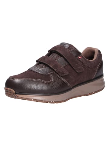 Joya Halbschuh DYNAMO VELCRO M DARK BROWN in braun