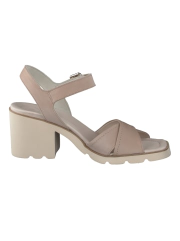 Paul Green Sandalen in Beige