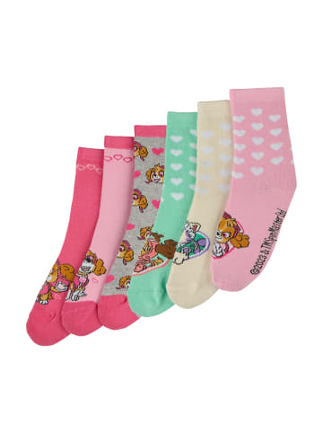 ONOMATO! 6er-Set: Socken Paw Patrol Skye, Zuma und Everest in Mehrfarbig