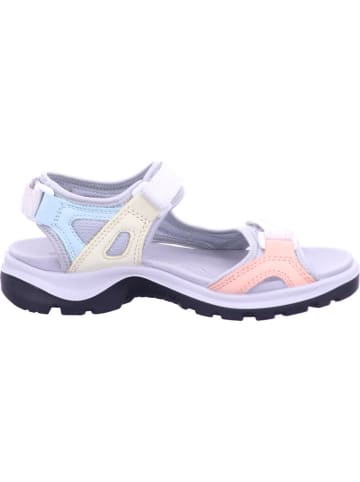 Ecco Outdoorschuh in bunt