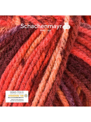 Schachenmayr since 1822 Handstrickgarne Bravo Color, 50g in Vesuv