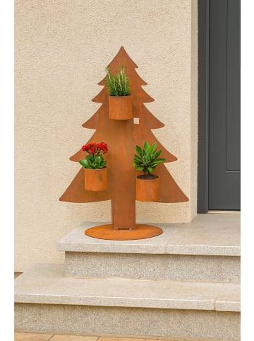 möbel-direkt Blumenständer Tanne in rost