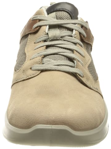 Jomos Freizeit Schnürer für Herren in beige