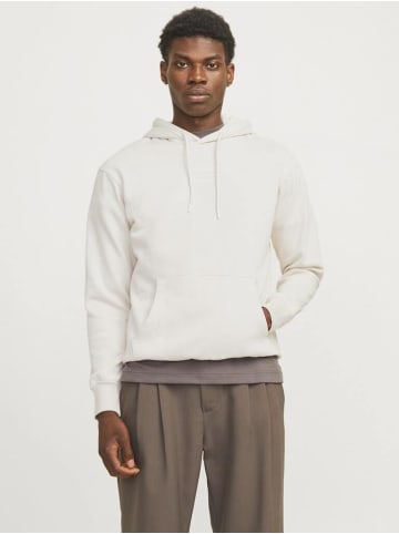 Jack & Jones Sweatshirt in moonbeam
