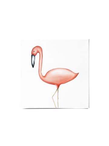 Dori's Prints Kunstdruck auf Leinwand "Flamingo Flavio" in Rot/Rose