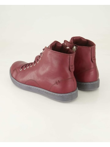 Andrea Conti SHOES Klassische Stiefeletten in Bordeaux