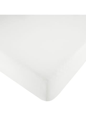 Erwin Müller Renforcé Spannbettlaken Würzburg in weiß - kochfest
