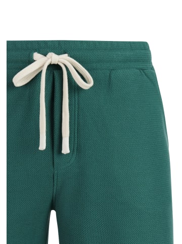 Protest " PRTGraig in Dark teal
