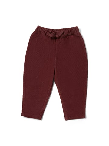 Little Green Radicals Hose aus Bio-Baumwolle und Kord in Braun