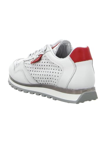 Cetti Sportliche Schnürschuhe in Weiß
