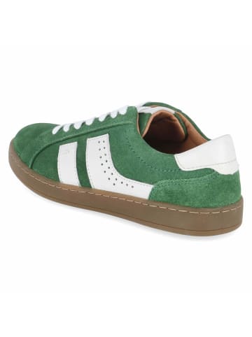 Josef Seibel Schnürhalbschuh in grün