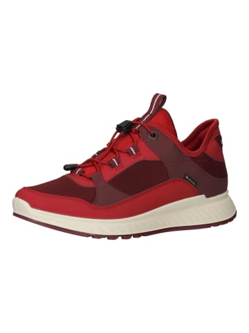 Ecco Sneaker in Chilli