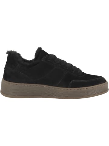 Gabor Sneaker low 6018.02 in schwarz