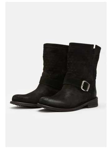 Felmini Stiefelette in Schwarz