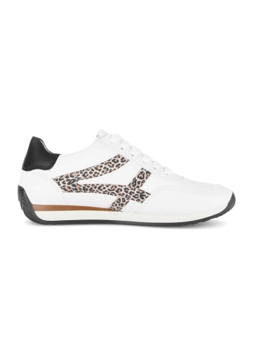 Gabor Sneaker low in multicolour