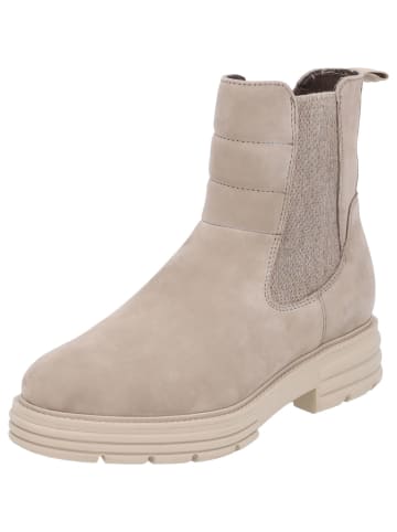 Tamaris Stiefeletten in taupe