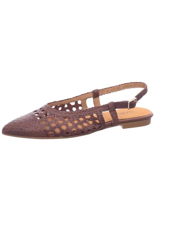 Gabor Slingpump in braun