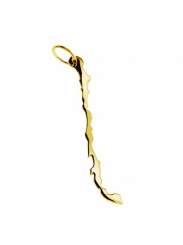 Schmuckador Anhänger der Landkarte Chile in massiv 333 Gelbgold in gold