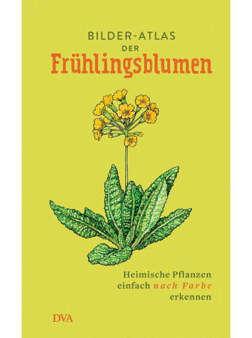 DVA Bilder-Atlas der Frühlingsblumen | Heimische Pflanzen einfach nach Farbe...