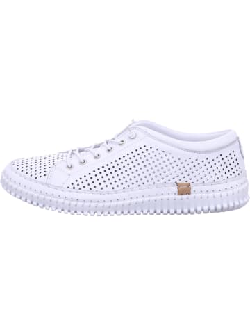 Andrea Conti Damen- Schnürschuhe Da.-Sneaker in Weiß