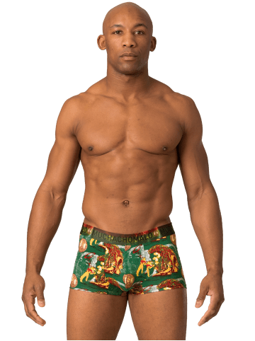 Muchachomalo 4er-Set: Boxershorts in Multicolor